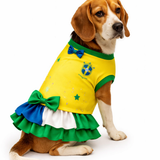 🐶💛 Vestido Pet Brasil — Torcedora Estilosa