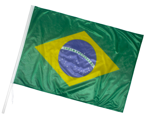 Bandeira Torcedor - 0,70m X 1,00m
