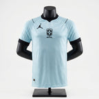 Camisa Torcedor Brasil Masculina 2026 Azul Claro